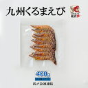 九州くるまえび 冷凍（小）400g(22〜30尾) 急速凍結 くるまえび 活〆 氷〆 刺身 鍋 天ぷら えび エビフライ エビチリ ぐるめ グルメ 贈答 送料無料 あす楽 九州産