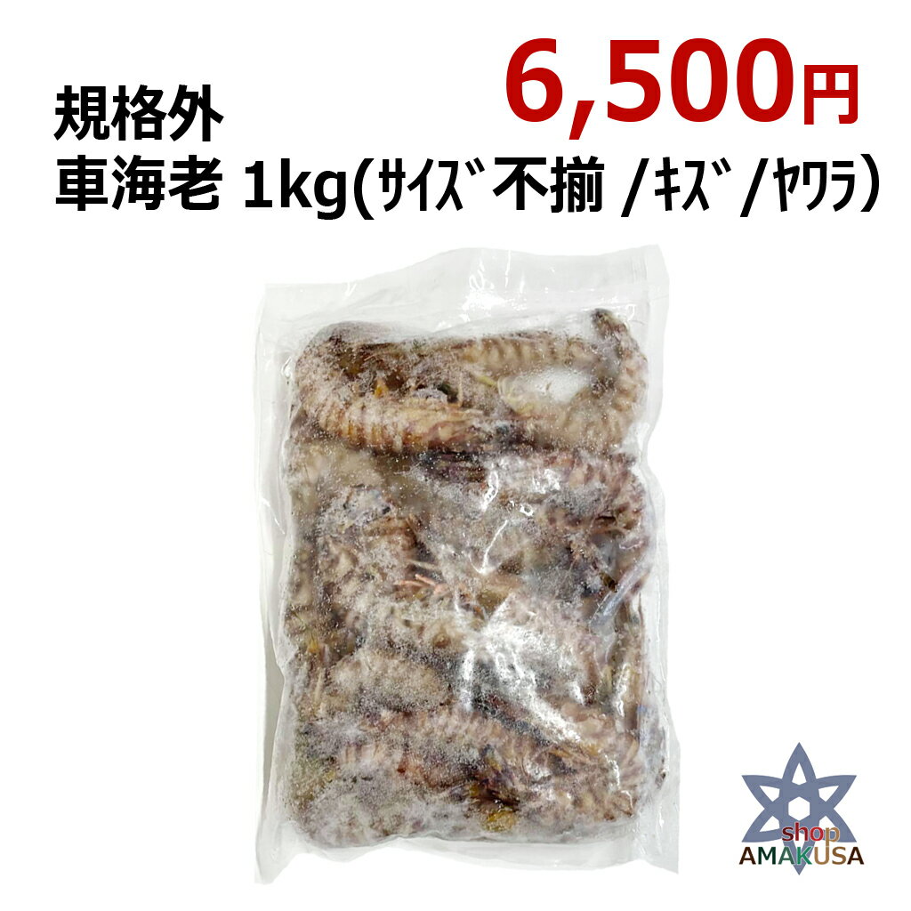 数量限定 訳あり冷凍車海老 1kg (1000g) ※サイズ不揃い・キズ有り 海鮮　送料無料