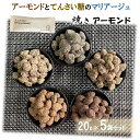 焼きアーモンド 1,000円ポッキリ 5種