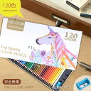 レビューで10 OFFクーポン♪新作 色鉛筆 油性色 120色 カラーペン お絵かきセット 塗り絵 描き用 落書き マルチカラー 手帳 ノード子供用 画材セット 大人 入学 入園祝い 幼稚園 学生 子供 塗りやすい 男の子 女の子 収納ケース付き ギフト クリスマス 誕生日 内祝い