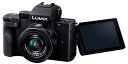 パナソニック(Panasonic) 小型・軽量ミラーレス一眼カメラ ルミックス 標準ズームレンズキット ブラック DC-G100DK-K