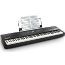 Alesis 電子ピアノ 88鍵盤 ウェイティッドハンマーアクション鍵盤 レッスン機能 録音機能 液晶画面 Recital Pro