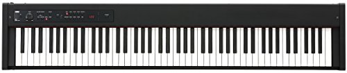 KORG 륰 D1 Żҥԥ RH3 88 ѡڥ롢Ω° ƱϢǲǽ ֥å