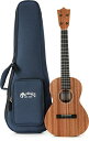Martin T1 テナー FSC ウクレレ サペル ナチュラル