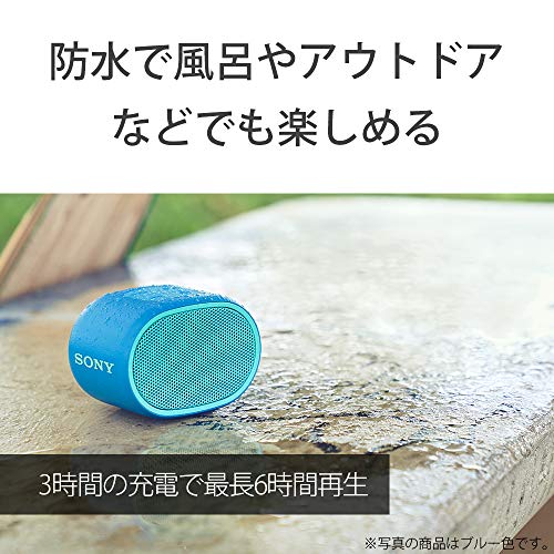 ソニー(SONY) ワイヤレスポータブルスピーカー SRS-XB01 R : 防水 Bluetooth スマホなしで操作可能 ストラップ付属 2018年モデル / マイク付き/ レッド