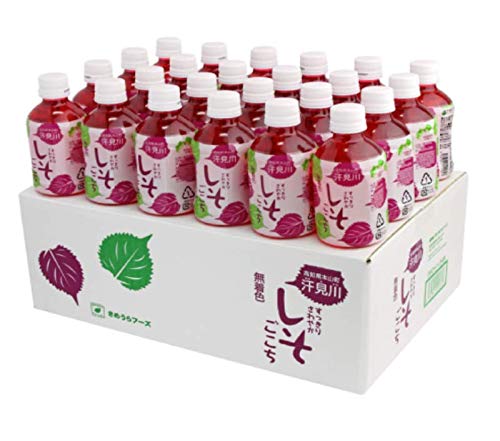 さめうらフーズ しそごこち 280ml×24本