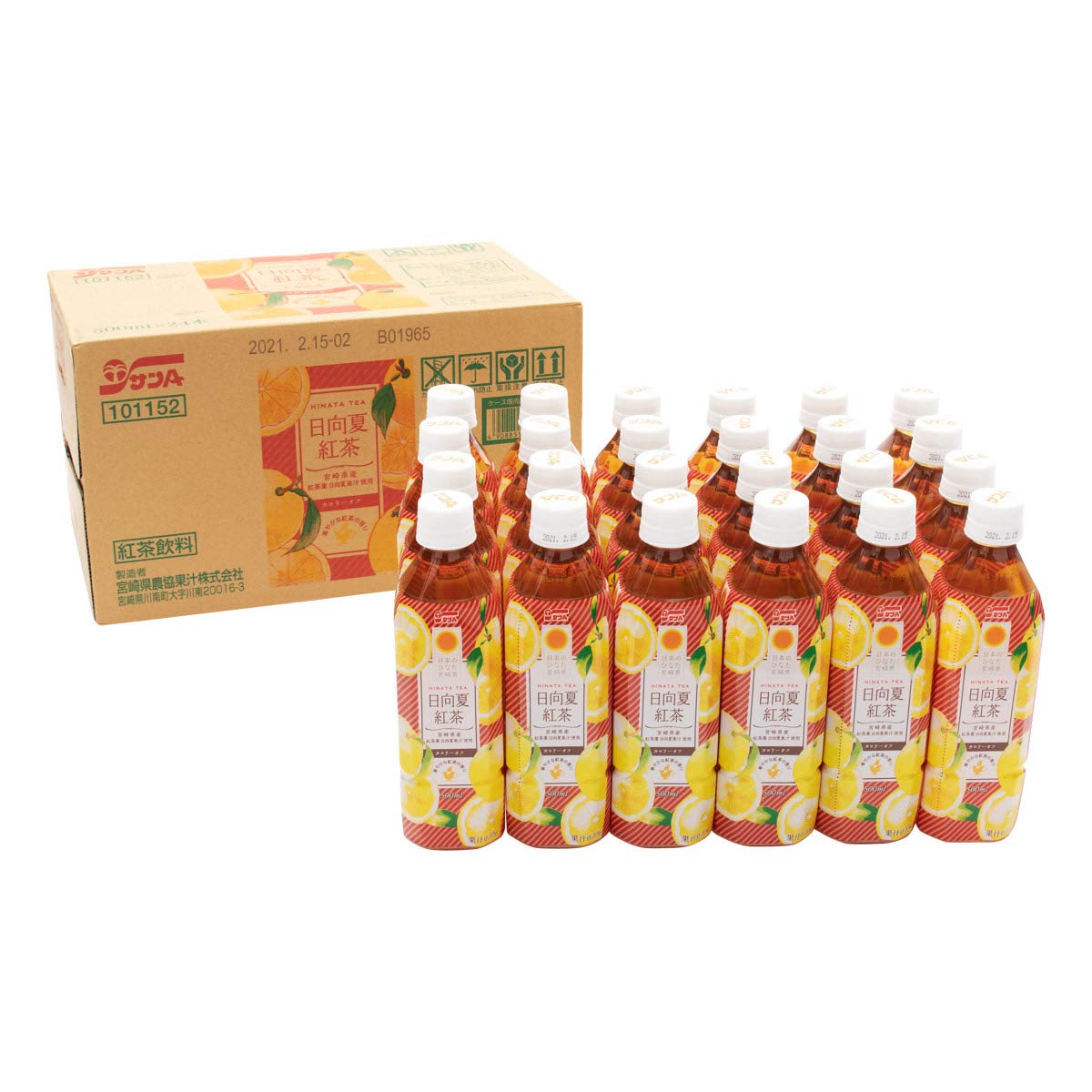 サンA 日向夏紅茶HINATA TEA 500ml×24