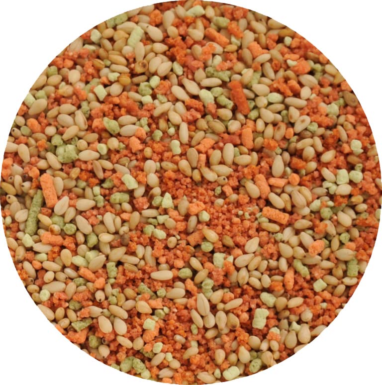 �������ա��� ��̳�� �äդ� ���餳 1kg