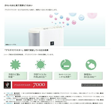 シャープ 気化式 加湿器 HV-J30-W アイボリーホワイト プラズマクラスター搭載 SHARP 気化式加湿器 加湿機 パーソナルタイプ お手入れ 簡単 省エネ 節電 湿度 寝室 オフィス 子供部屋 和室5畳 プレハブ8畳 ホワイト