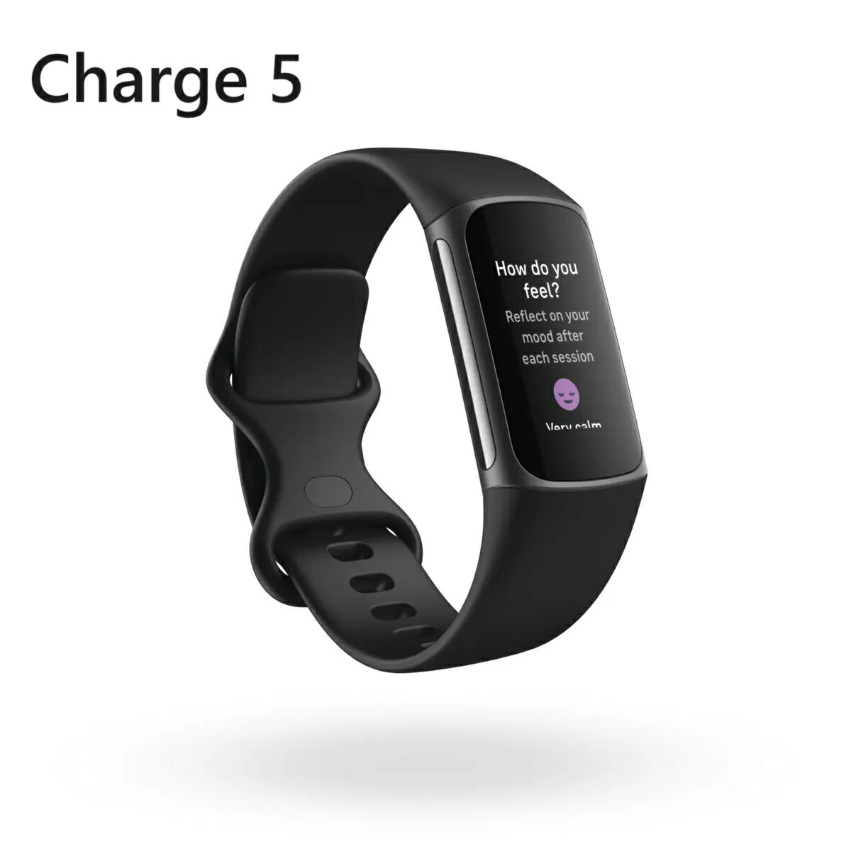 フィットビット スマートウォッチ（売れ筋ランキング） fitbit Charge 5 ブラック/グラファイト　フィットビット チャージ5 スマートウォッチ 健康管理 腕時計 運動管理 睡眠管理 トラッカー