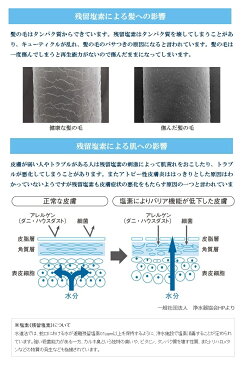 浄水シャワー ウォータークチュール WS301 ストップシャワーヘッド 節水シャワーヘッド 三菱レイヨン クリンスイ シャワーヘッド 一時止水 浄水器