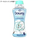 ダウニー クールコットン 香り付けビーズ 1.06kg　香りづけビーズ 香り付け 香りづけ Downy ビーズ 衣料用 香り付け専用 大容量 衣類の香り付け 長続き