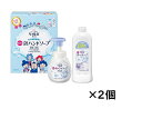 【2セット】ビオレU 泡ハンドソープ ギフトセット (ポンプ250ml&つめかえ380ml) セット つめ替え 詰め替え ハンドソープ 泡 弱酸性 殺菌 消毒 ...