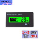 YFFSFDC デジタル電圧計 バッテリー残量表示計 汎用型 DC 12V-48V リチウム電池 鉛蓄電池 リン酸鉄リチウムイオン電池 LCDディスプレイ バッテリーチェッカー バッテリーモニター グリーンバックライト
