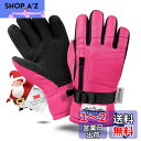Hikenture スキーグローブ キッズ【3Mシンサレート・2倍保温】防水 フリース裏素材 スキー 手袋 キッズ スノーグローブ スノー 手袋 子供 手袋 防撥水 スキーブローブ ジュニア 雪遊び 手袋 キッズ スノボー グローブ 滑り止め処理 防風 透湿 撥水加工 紛失防止 調整ベル