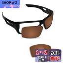 Fiskr 塩水防止 Oakley Eyepatch 2(Eyepatch 1)交換用レンズ 偏光 マルチオプション(4)