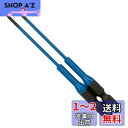 アネックス(ANEX) カラービット 段付 マグネットなし +00×100 2本組 ACD-00100