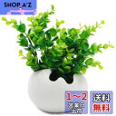 TOSSOW 植木鉢 陶器鉢 卵形 多肉植物、サボテン鉢 ハーブ プランター容器 おしゃれ プレゼント ミニ ホワイト