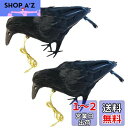 【送料無料】ONESORA カラスよけ 鳥よけグッズ 本物そっくり リアル羽毛カラス 【小振りサイズ 2羽】 ぶら下げて吊るすだけ カラス撃退