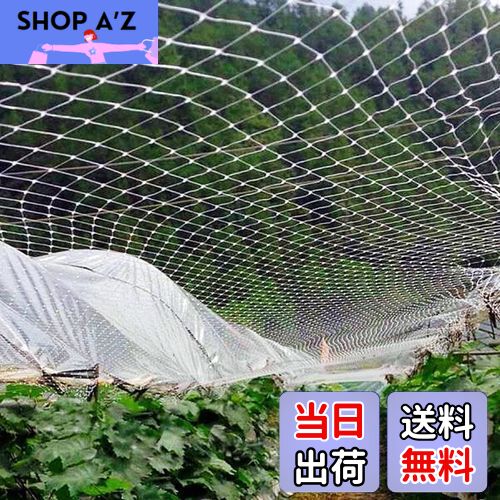 【送料無料】ONESORA ベランダ鳥よけネット 防鳥ネット 防鳥網 10×10m 取り付けインシュロック付属 カ..