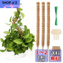 JANLOFO 支柱 園芸 3本セット 園芸支柱 60cm モンステラ フラワースタンド ヘゴ支柱 ガーデニング支柱 ココナッツ支柱 花支え 支柱 水分養分維持...