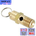 PATIKIL 1/4オスNPT 安全弁 1個 圧力開放弁 エアリリースバルブ エアコンプレッサー用 135 PSI 設定圧力