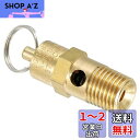 PATIKIL 1/4オスNPT 安全弁 1個 圧力開放弁 エアリリースバルブ エアコンプレッサー用 175 PSI 設定圧力