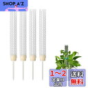 happykau モスポール支柱 4本セット連結可 観葉植物 園芸支柱 観葉植物モンステラ プラスチック 園芸 植物サポート屋内植物の成長をサポート 屋内植物の...