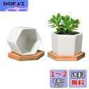 T4U 7CM 植木鉢 多肉植物鉢 サボテン鉢 陶器鉢 ミニ鉢 竹トレー付き 底穴付き 白 2個入り 母の日ギフト