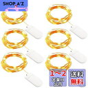 BigFox イルミネーションライト ストリングライト 電池式2m 20LED フェアリーライト 防水 銅線 ワイヤーライト 電飾?クリスマス/ハロウィン/誕生日/パーティー/ウェディング