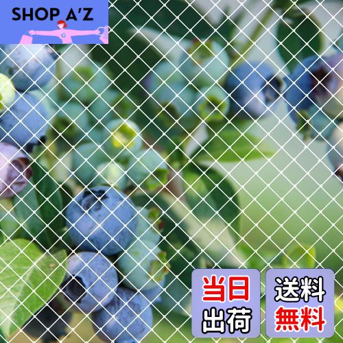 【送料無料】ベランダ 防鳥ネット 3×8m 鳥よけネット カラス 鳩 鳥害対策 防鳥防獣網 鳥除け Limthe透..