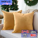 Encasa Homesベルベット装飾枕カバー2個セット-ゴールド-18x18インチ/45x 45 cmソリッドプレーン染めソフト&スムース、インド製、ソファ、...