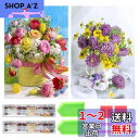 サムコス ダイヤモンドの絵画 ダイヤモンドアート キット 2個セット 暇つぶし おしゃれ かっこいい きれい 全面貼り付け ハンドメイド 初心者 DIY 手芸キット 家の装飾(花6)(3)