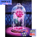 Amyaker ダイヤモンドアート キット 四角いビーズ 全面 ダイアモンドビーズ絵画キット DIY 手作り絵画 手芸キット モザイクアート 5D モザイクアート ダイヤモンド塗装 全面貼り付けタイプ 30x40cm 美女と野獣 バラ(3)