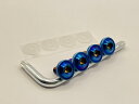 【送料無料】Kuroobaa 車用 ナンバープレートボルト チタン製 ナンバーフレーム 車用ナンバープレートカバー・ホルダー チタン合金製 防犯 盗難防止ネジ M6 4本セット (ブルー)