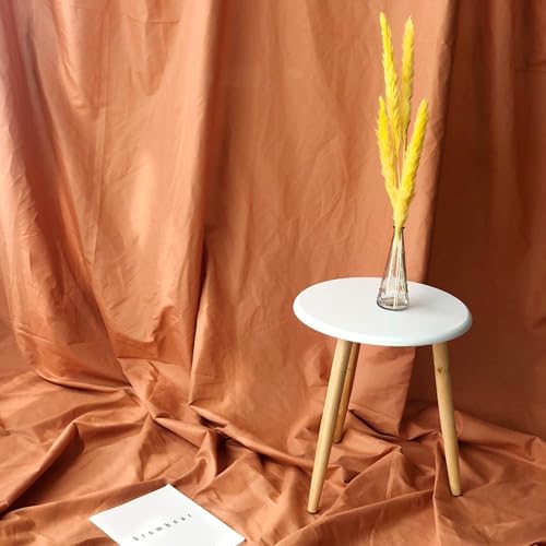 【送料無料】Lezalic 背景布 100cm*240cm 無地 生地 物撮り 撮影用 内装 写真 多用途 シワが付きにくい..