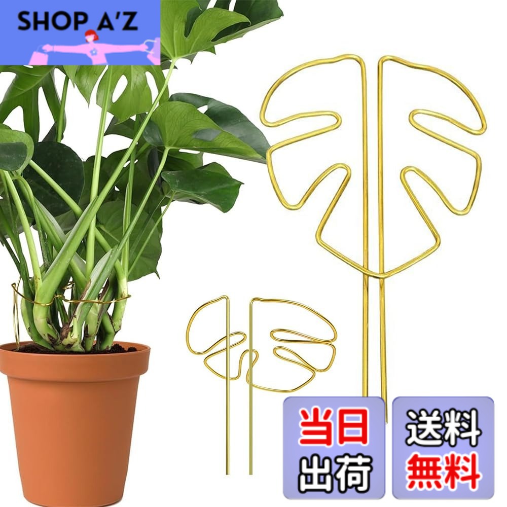 商品情報商品の説明商品の説明 テントは高品質合金材料を用いて製造され、表面銅色処理、防腐防錆、抗酸化能力が強く、摩耗しにくく 安全警告 慎重に取り扱ってください。尖った先端で傷つきます。地下の設備を損傷する可能性があります。適切に固定してください。主な仕様 【自然通風】独特な葉形構造は支持と通風機能を巧みに融合させ、植物の枝幹を強固に固定するだけでなく、良好な空気の流通を維持し、どの葉も十分に日光を浴び、植物の健全な成長を助け、光合成を加速させることができることを確保する。【良質合金】ステントは高品質合金材料を用いて製造され、表面銅色処理、防腐防錆、抗酸化能力が強く、摩耗しにくく、長期使用しても光沢と強度を保持でき、実用性と観賞性を兼ね備えている。【構造が安定している】構造設計を強化し、植物の転倒を効果的に防止し、特に藤本類、枝葉が繁茂しているか、大きくて倒れやすい植物の使用に適し、植物の安定した上向き成長を助け、清潔で秩序ある緑植空間を作る。【柔軟な調整】工具を必要とせず、植物の形態に応じて角度とリング構造を自由に調整でき、異なる成長段階とサイズを配合することができ、設置過程は簡単で省力的で、園芸初心者も簡単に手に入れることができる。【多場面応用】多種の観賞植物、花卉及び緑植物、例えば亀背竹、バラ、藤登り類などに適用する。家庭園芸でも農場栽培でも、植物の成長軌跡を効果的に管理し、養生効率と美感を高めることができる。
