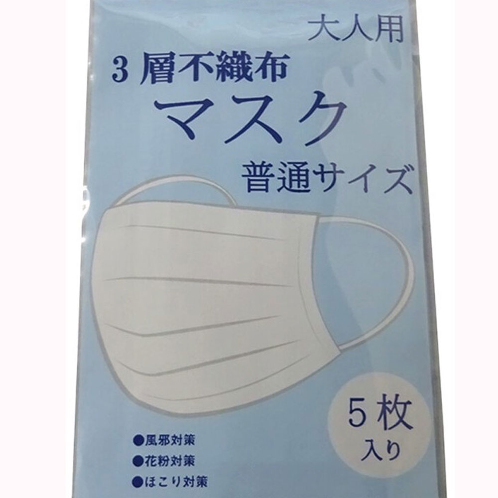 【在庫処分品】3層構造　不織布マスク5枚入り 3層 即納 ホワイト 白 在庫あり ウイルス 飛沫 ふつうサイズ 普通サイズ 大きめ 花粉症対策 風邪予防 大人 花粉 防塵 男女兼用 通勤 通学 メール便OK あす楽対応 B-001