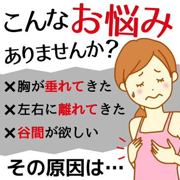【送料無料】ナイトブラ 育乳 バストアップ ブラジャー 大きいサイズ ナイトブラ フロントホック ふんわり ソフト 夜用 ブラ 補正下着 ノンワイヤー 2枚セット 前ホック 横流れ防止 脇肉 美乳 産後 おやすみブラ 夜用ブラ M L XL 黒 ブラックインナー 下着 レディース