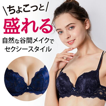 【送料無料】ブラジャー ショーツ セット ブラセット ブラジャー 小胸 盛れる 谷間 レース セクシー 小さいサイズ かわいい 上下セット 20代 30代 40代 ブラ ブラジャー 大きいサイズ Aカップ 黒 ブラック ベージュ 赤 インナー 下着 女性 レディース