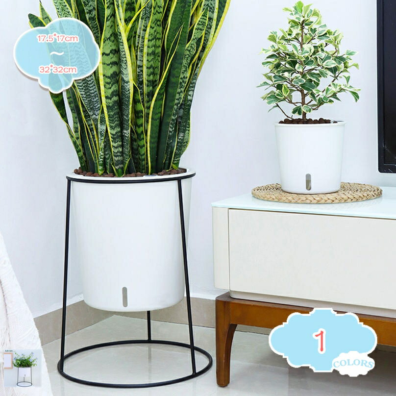 1650円OFFクーポンボールプラ...