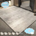 800円OFFクーポン 玄関マット グラデーションラグ おしゃれ 洗える 薄型 ドアマット 室内・屋内 すべり止め 抗菌 防臭 泥落とし 丸洗いOK 迎え WE...