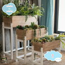 ウッド フラワースタンド ホワイト 花台 玄関 ベランダ ガーデン 天然木製 木製花台 木製フラワースタンド 深型 長方形 プランター フラワーラック プランタ...