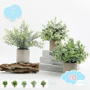550円OFFクーポン ミニ鉢植え植物 人工ユーカリ箱 ローズマリー緑 鉢植え 小さな観葉植物 屋内緑 卓上装飾 センターピース グリーン ミニ鉢植え 人工植毛...