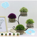 550円OFFクーポン 人工観葉植物 光触媒 かわいい キレイな空気を実感 鉢植え 造花 人工植物 フェイクグリーン インテリア 飾り 簡単世話いらず 水やり不...