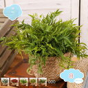 カントリースタイル 編みフラワーバスケット 手作り 自社DIY 大ヒマワリ 人工観葉植物 造花 フェイクグリーン インテリア ギフト お祝い 観葉植物 本物にそ...