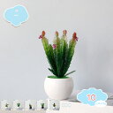 人工観葉植物 フェイクグリーン 造花 サボテン 寄せ植え お世話のいらない インテリア飾り ギフト フェイクグリーン 多肉植物 造花 観葉樹 光触媒 空気清浄 ...