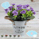 550円OFFクーポン フェイク鉢植え植物 人工鉢植え花 人工植物 マカロンポット プラスチックフラワー 盆栽 屋内 屋外 ホーム キッチン オフィス デスクト...