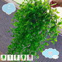 人工アイビーガーランド 人工観葉植物 人工吊り下げ植物 人工つる植物 シミュレーション植物の束 人工緑の茎 フェイクハンギングプラント フェイクグリーンガーラン...