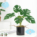 人工観葉植物 モンステラ フェイクグリーン 光触媒 インテリア 飾り 世話いらず 人気 おしゃれ 水やり不要 枯れない 人工樹木 フェイク植物 人気 人工樹木 ...